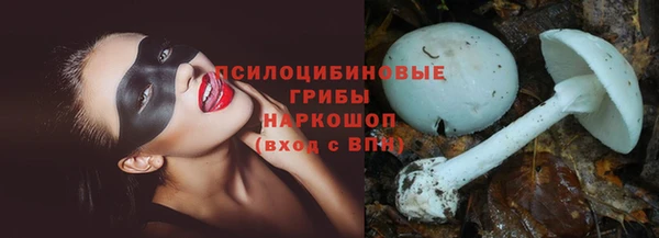 apvp Дмитров