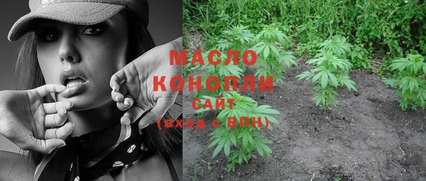 твердый Елабуга