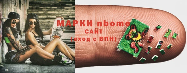 спиды Ельня