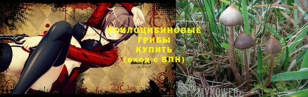 прущий лед Дмитровск