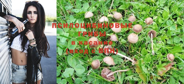 мефедрон Дмитриев