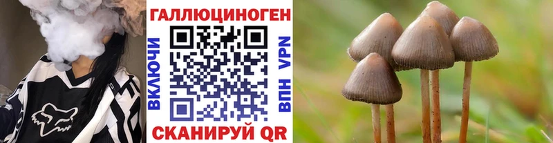 Купить  Лиски  Псилоцибиновые грибы Psilocybine cubensis 
